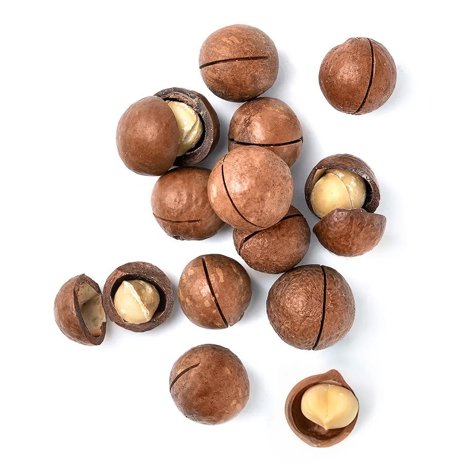 Орех макадамия Орех макадамия